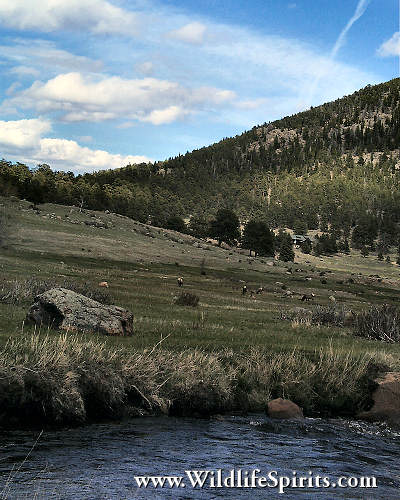 Click Picture to send as an  E-PostCard 51k 400x500